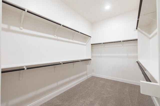 spacious closet featuring carpet floors