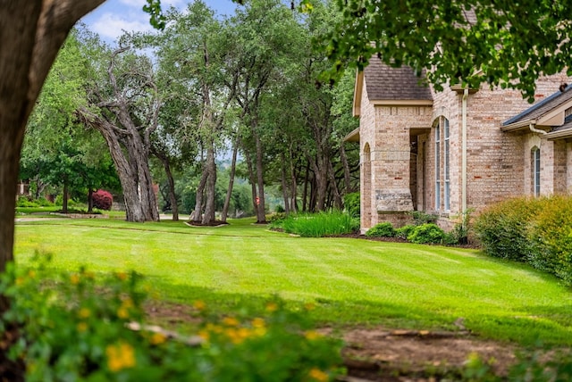 3109 Wild Rock Cv, Austin, TX 78732 - view of grassy yard
