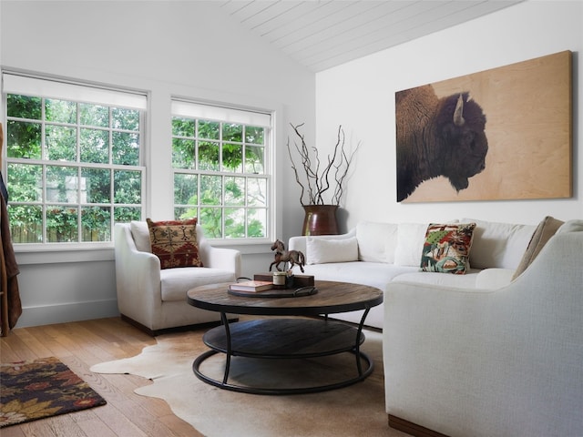 living room featuring hardwood / wood-style flooring, vaulted ceiling, and a wealth of natural light