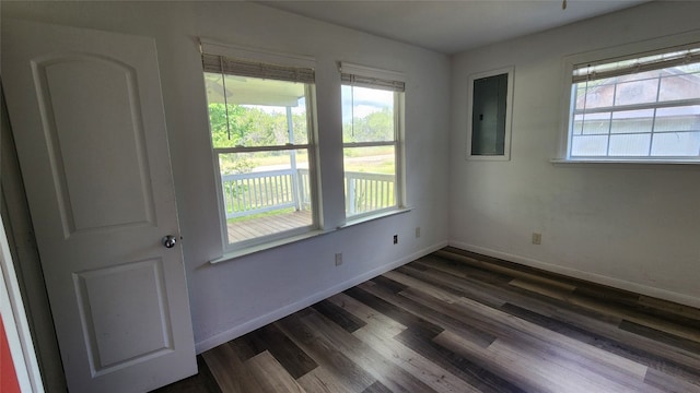 empty room with electric panel, plenty of natural light, and dark wood-type flooring