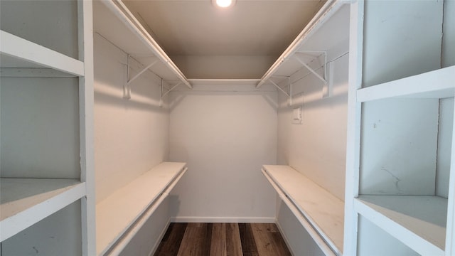 walk in closet with dark wood-type flooring