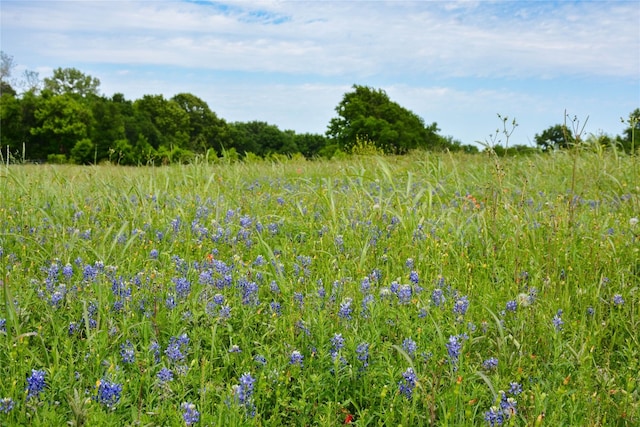 Listing photo 3 for 5530 Old Chappell Hill Rd, Brenham TX 77833