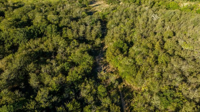 000 Pettytown Rd, Dale, TX 78616 - photo 13