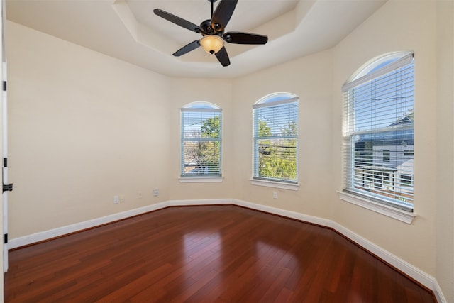 unfurnished room featuring a raised ceiling, a healthy amount of sunlight, and wood-type flooring