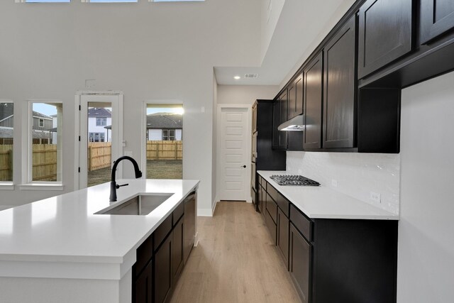 kitchen with light hardwood / wood-style floors, appliances with stainless steel finishes, a towering ceiling, dark brown cabinetry, and sink