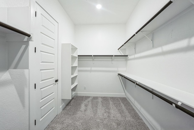 spacious closet with light colored carpet