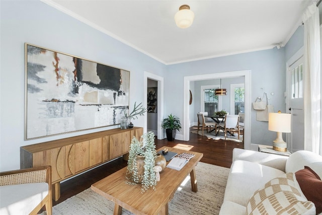 living room featuring crown molding and dark hardwood / wood-style flooring