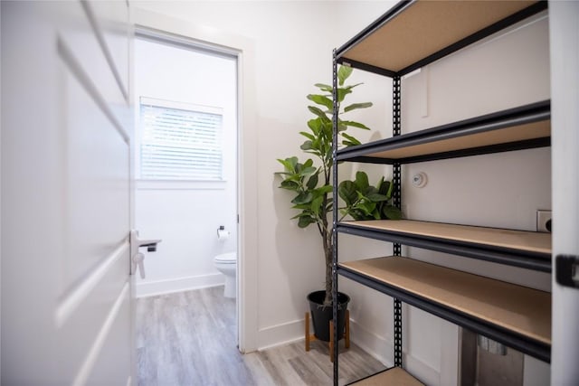 bathroom with hardwood / wood-style flooring and toilet