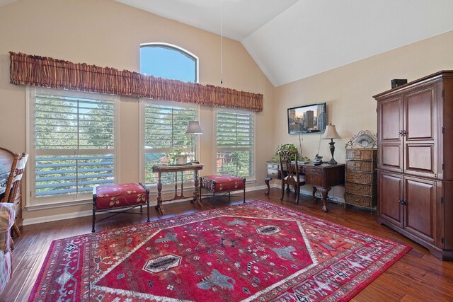 living area featuring dark hardwood / wood-style floors, high vaulted ceiling, and a healthy amount of sunlight