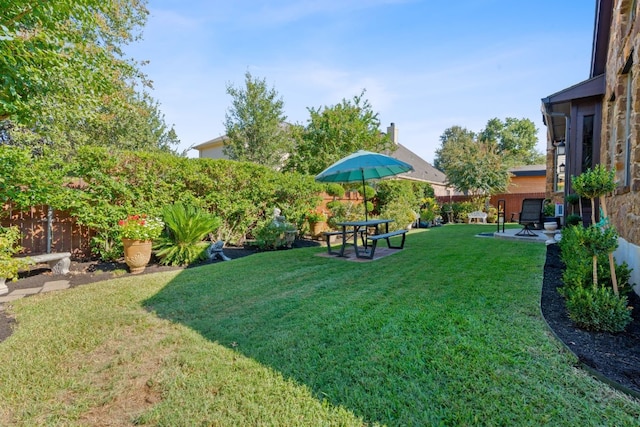 view of yard with a patio