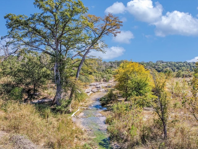 Listing photo 2 for 513 G W Haschke Ln, Wimberley TX 78676