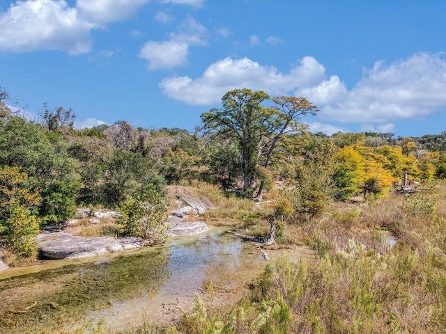 513 G W Haschke Ln, Wimberley, TX 78676 - photo 6
