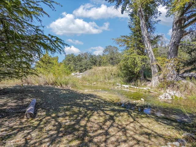 513 G W Haschke Ln, Wimberley, TX 78676 - photo 9