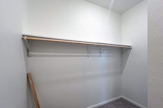 spacious closet featuring carpet