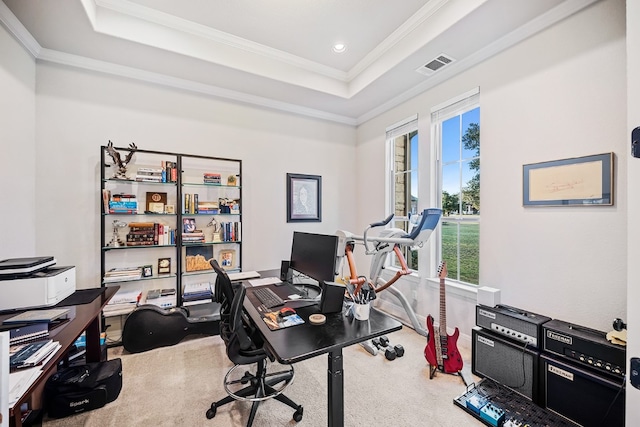 carpeted office space with a tray ceiling and crown molding