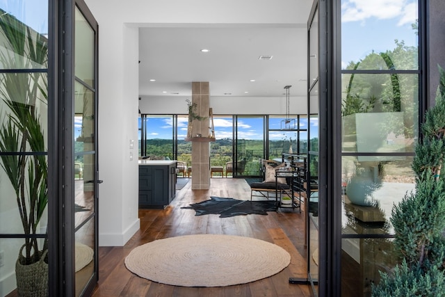 interior space with dark hardwood / wood-style flooring