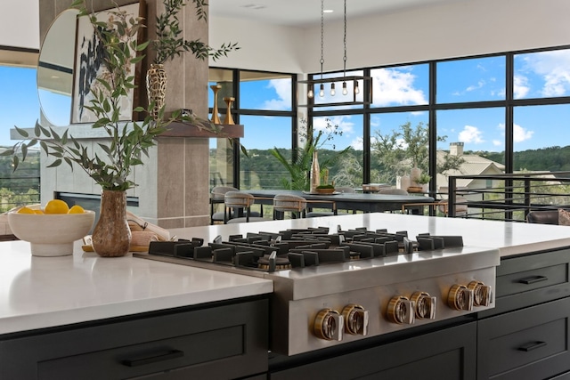 kitchen featuring stainless steel gas cooktop