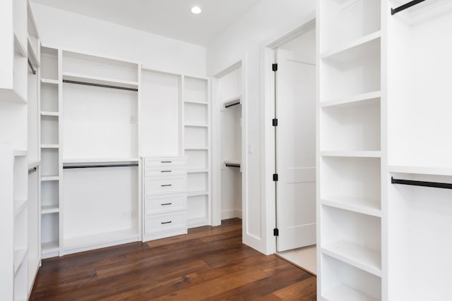 spacious closet with dark wood-type flooring