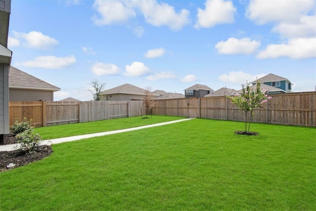 404 Spiny Lizard Ln, San Marcos, TX 78666 - photo 20