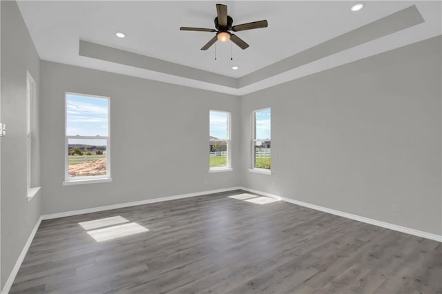 empty room featuring a healthy amount of sunlight, a tray ceiling, and dark hardwood / wood-style flooring