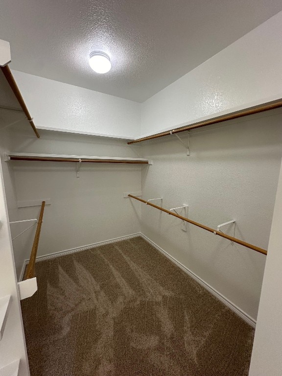 spacious closet featuring carpet floors