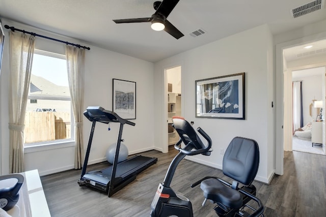 exercise room with hardwood / wood-style flooring and ceiling fan