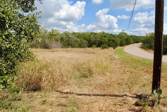 Listing photo 2 for 472 Falconwood Dr, San Marcos TX 78666