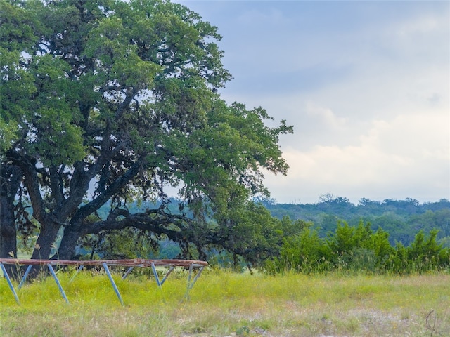 Listing photo 3 for 000 Winans Creek Rd, Bandera TX 78003