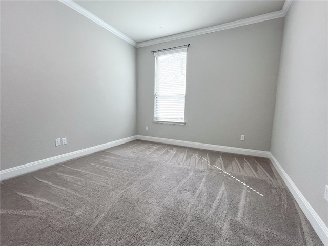 carpeted empty room with ornamental molding