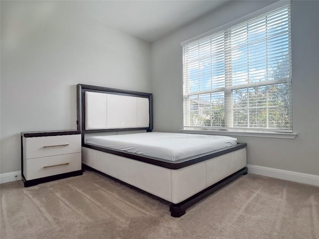 6008 Genova Pl, Round Rock, TX 78665 - bedroom featuring light colored carpet and baseboards