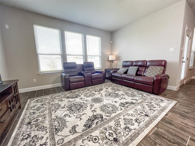 6008 Genova Pl, Round Rock, TX 78665 - living room featuring wood finish floors