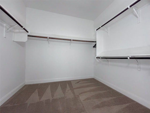 walk in closet with carpet flooring