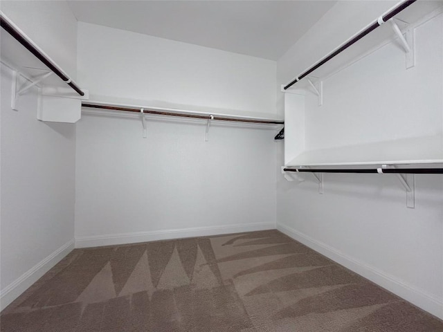 6008 Genova Pl, Round Rock, TX 78665 - spacious closet featuring carpet flooring