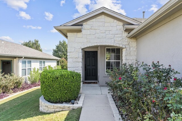208 Bright Leaf Trl, Georgetown, TX 78633 - entrance to property with stone siding, stucco siding, and a lawn