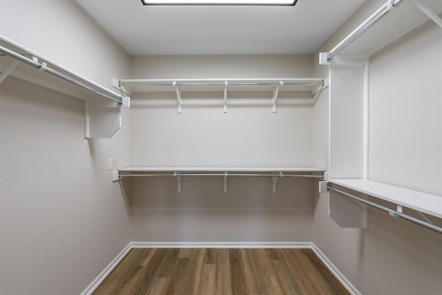 spacious closet with dark hardwood / wood-style floors