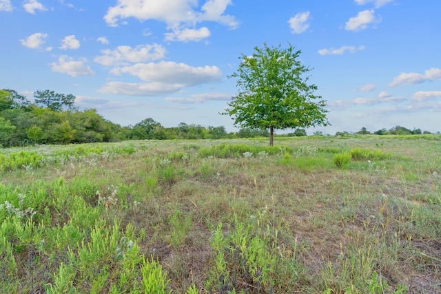 Listing photo 3 for TBD Sparta Field Road, Waelder TX 78959