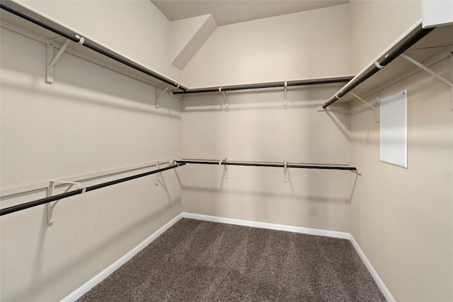 walk in closet with carpet flooring