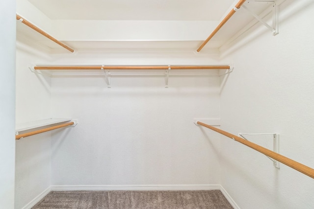 walk in closet featuring carpet flooring