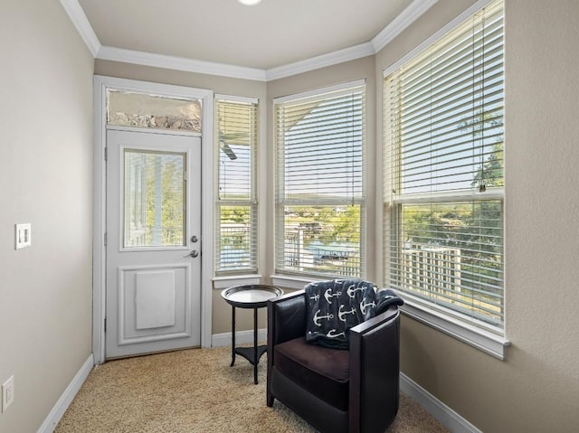 living area featuring light colored carpet and plenty of natural light