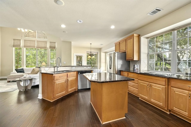 kitchen with appliances with stainless steel finishes, dark hardwood / wood-style floors, a healthy amount of sunlight, and an island with sink