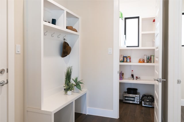 mudroom featuring dark hardwood / wood-style flooring