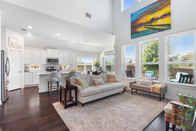 living room with dark wood-type flooring and vaulted ceiling