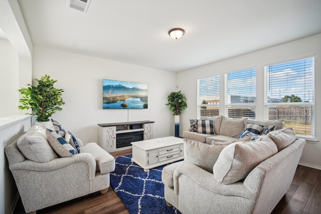 living room with dark hardwood / wood-style floors