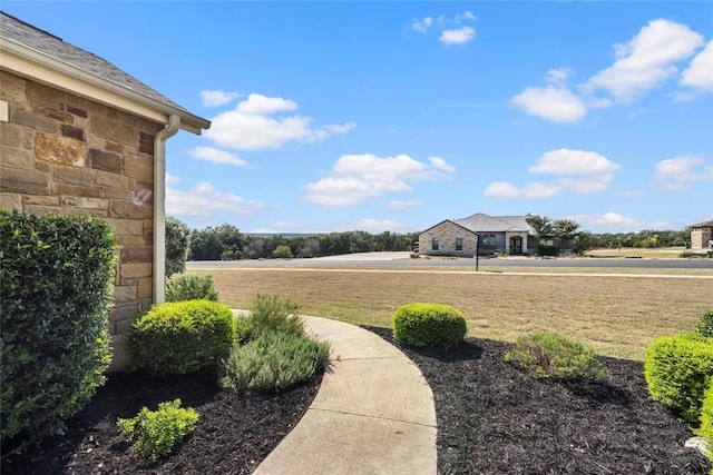 504 Pheasant Mdw, Liberty Hill, TX 78642 - view of green lawn