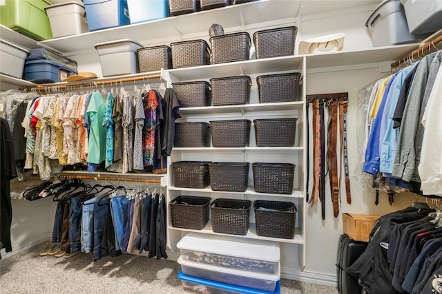 504 Pheasant Mdw, Liberty Hill, TX 78642 - spacious closet with carpet flooring