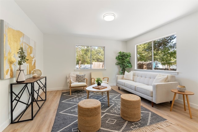 sitting room featuring light hardwood / wood-style flooring