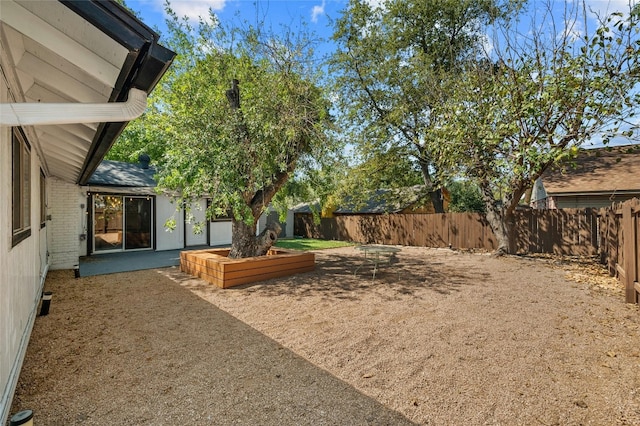 view of yard featuring a patio