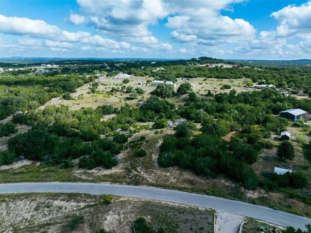 348 Vail River Rd, Dripping Springs, TX 78620 - photo 4
