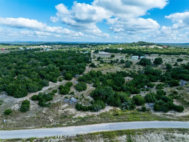 348 Vail River Rd, Dripping Springs, TX 78620 - photo 5