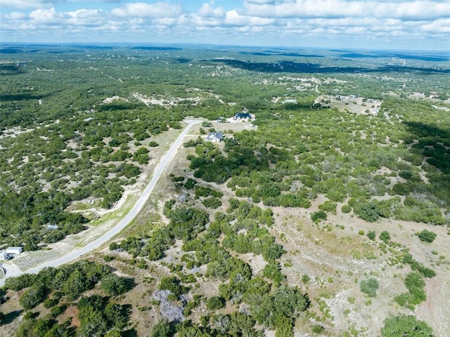 348 Vail River Rd, Dripping Springs, TX 78620 - photo 8